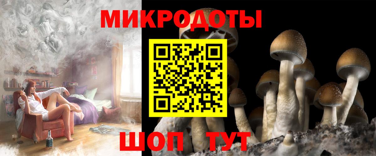 Галлюциногенные грибы мицелий Биробиджан